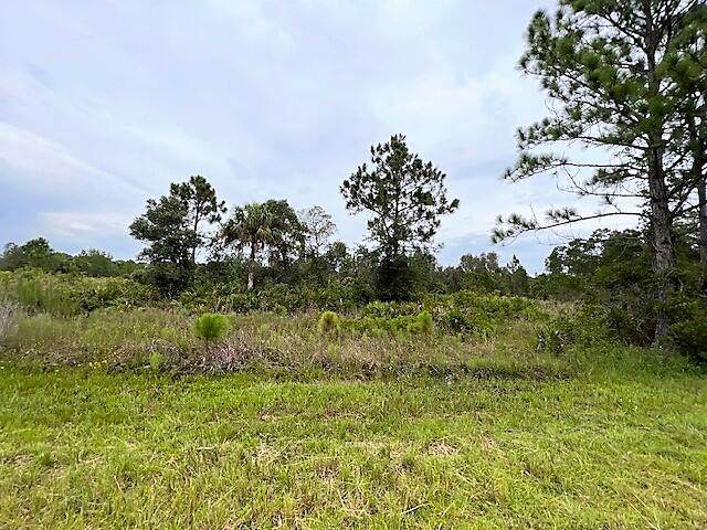 12454 Benner Lane - Photo 1