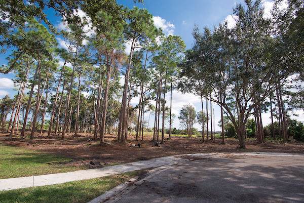 6634 Audubon Trace - Photo 1