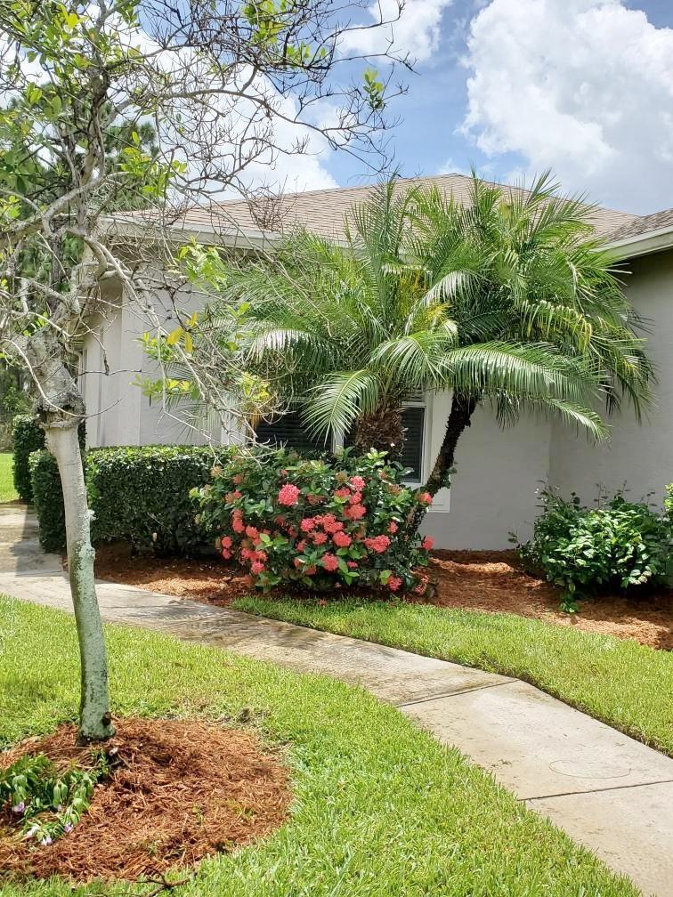 313 Tomoka Springs Drive - Photo 1