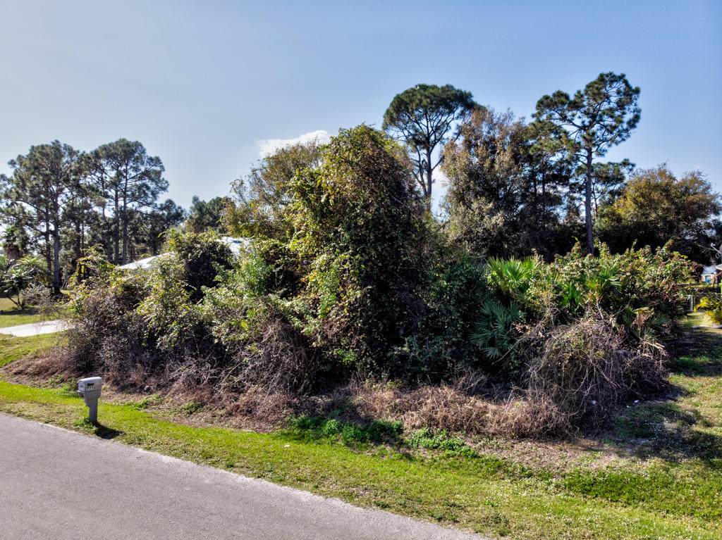 7755 101st Avenue - Photo 1