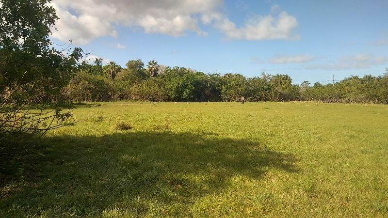 4100 Windmill Road - Photo 1