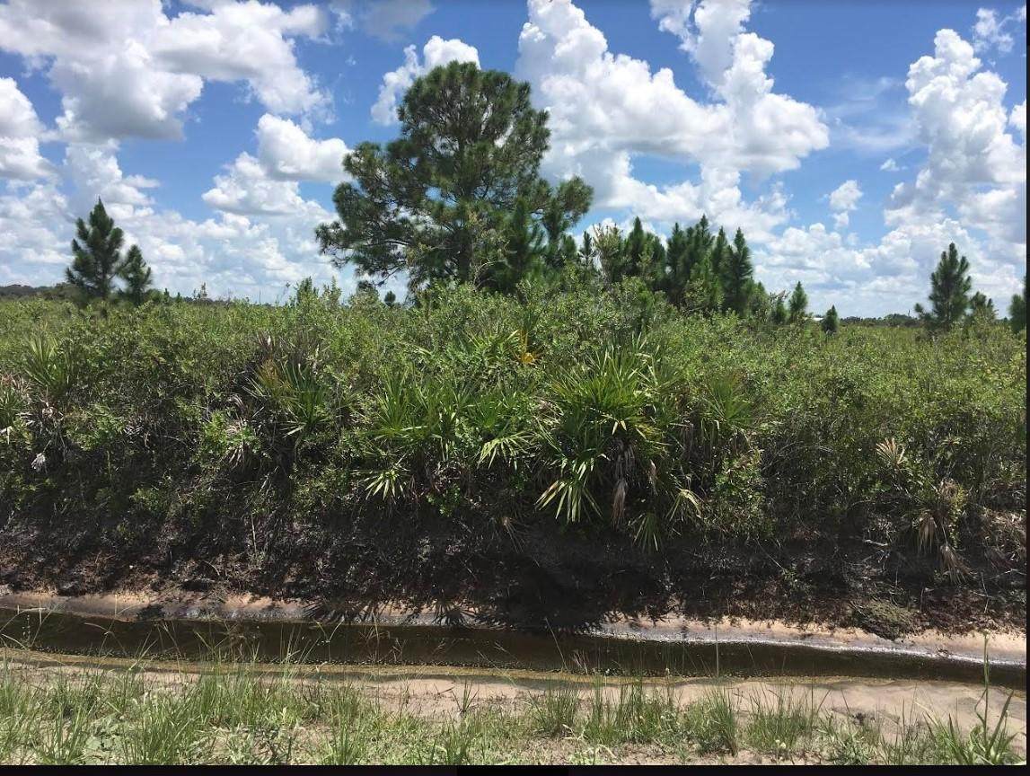 20470 254th Street - Photo 1