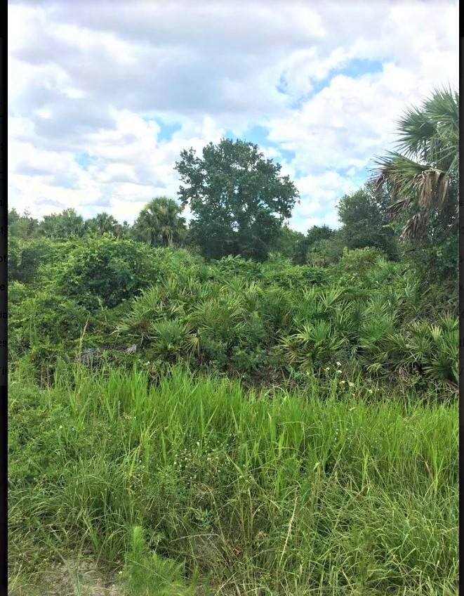 16119 254th Street - Photo 1