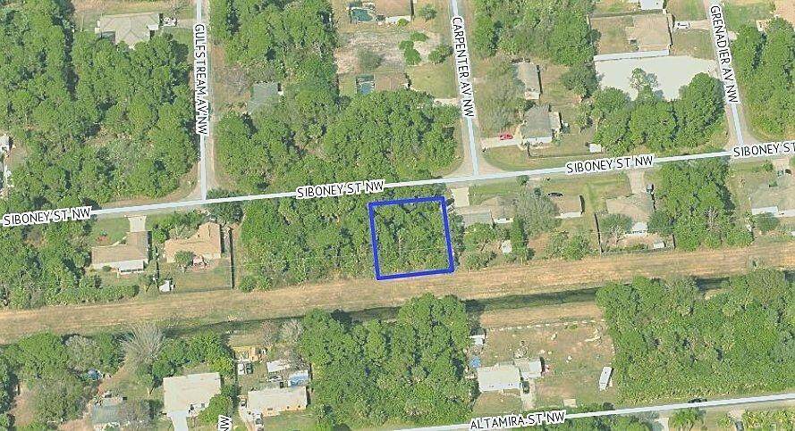 1036 Siboney Street - Photo 1
