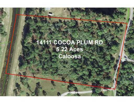 14111 Cocoa Plum Road - Photo 1