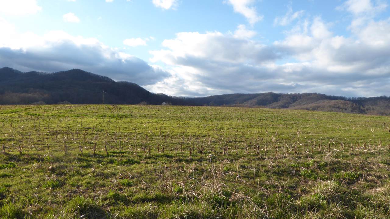 650 & 655 Crowell Gap Rd - Photo 1