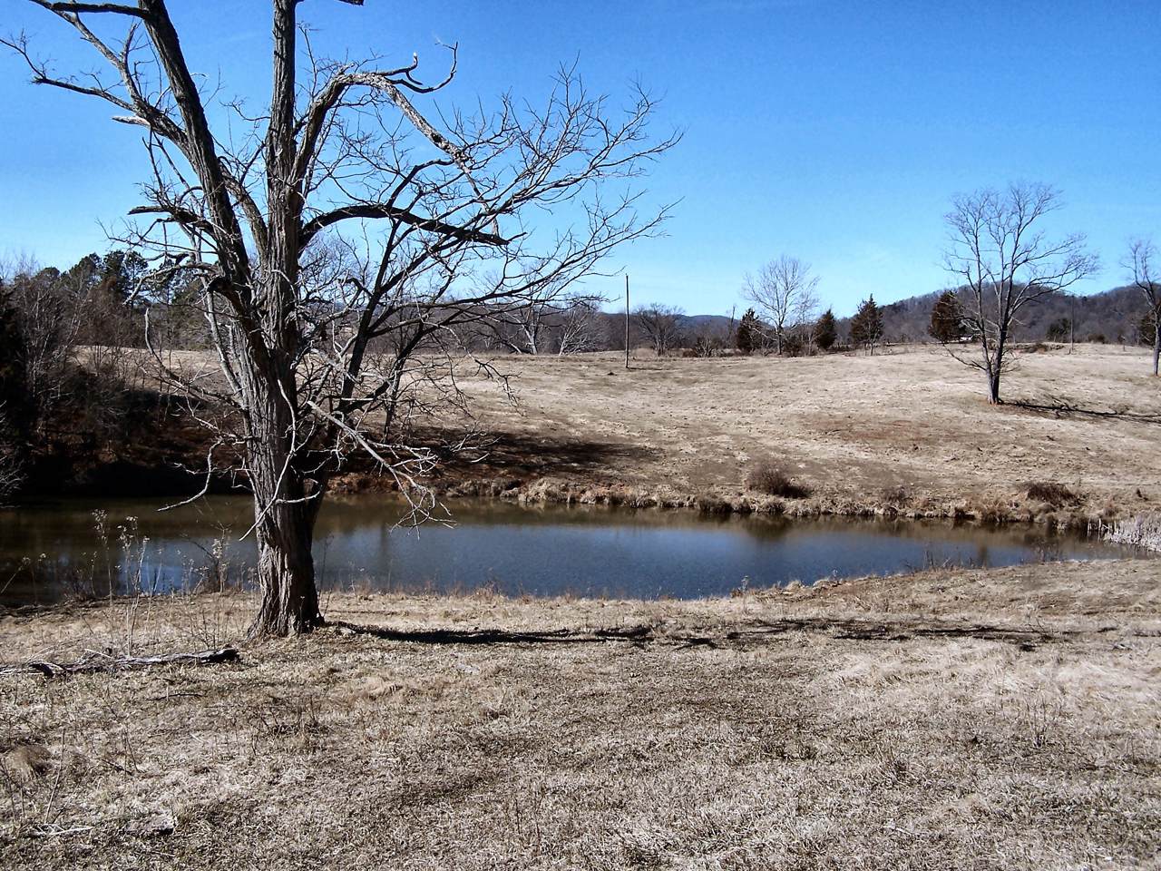 0 Nester Rd - Photo 1