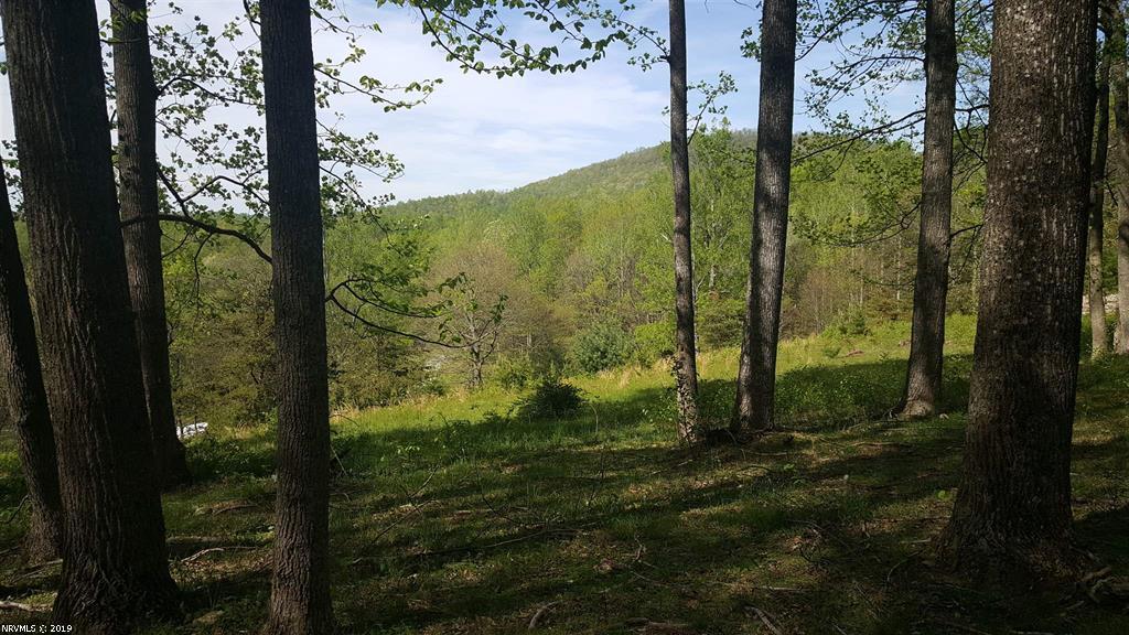 1873 Morning Dew Ln - Photo 1