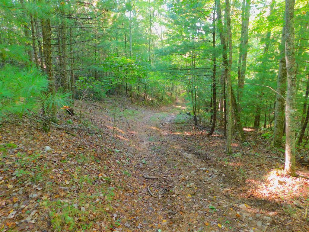 1294 Indian Valley Rd - Photo 1