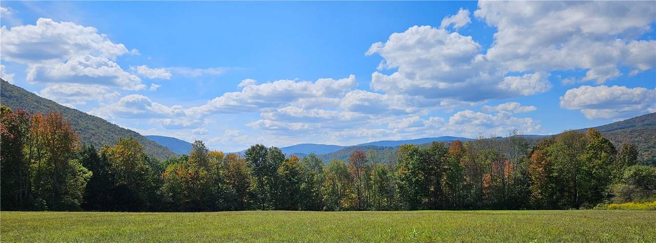 161 Montgomery Hollow Road - Photo 1