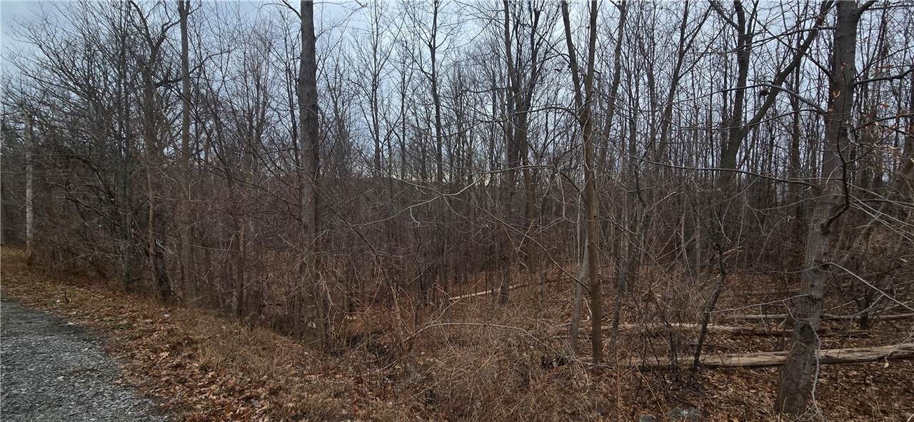 https://bt-photos.global.ssl.fastly.net/rochester/1280_boomver_1_R1657877-2.jpg