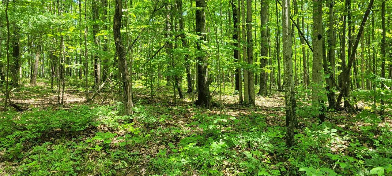  Hagerman Road - Photo 1