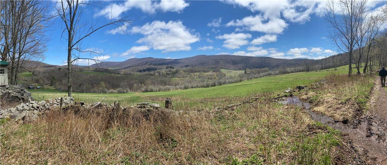 535 Babbling Brook Road - Photo 1