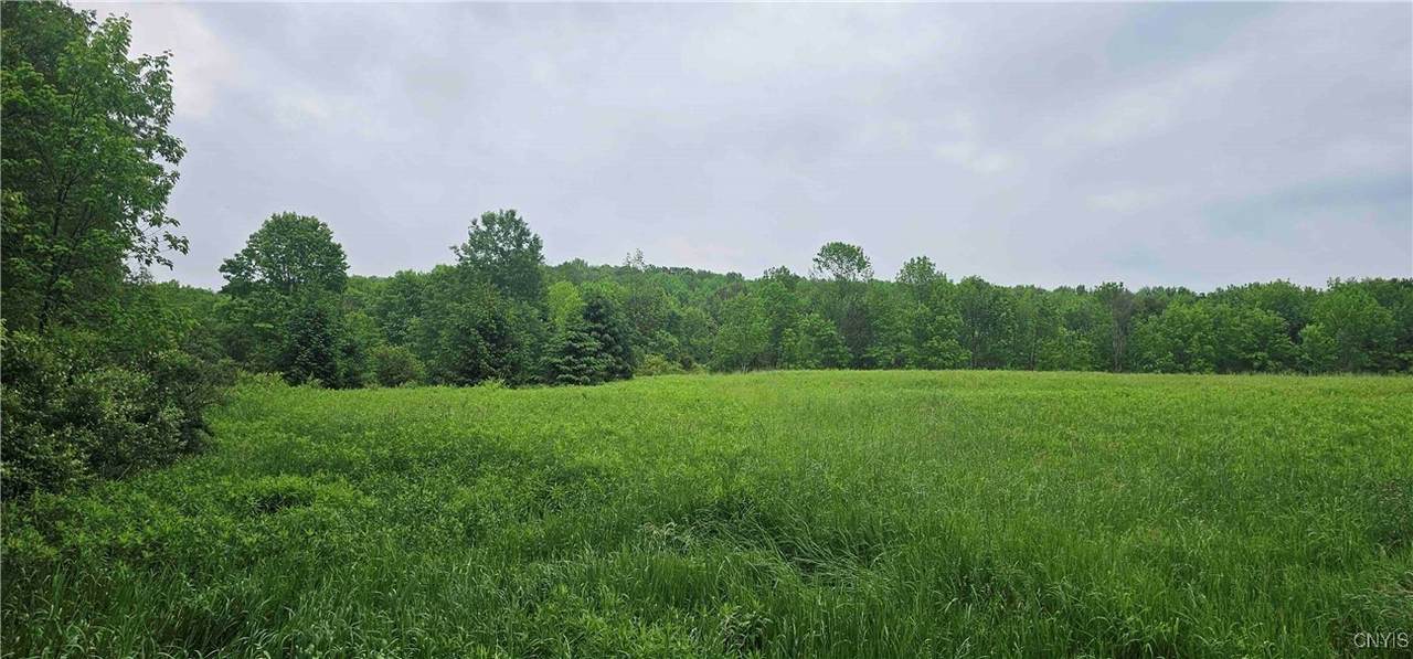 Gospel Hill Road - Photo 1