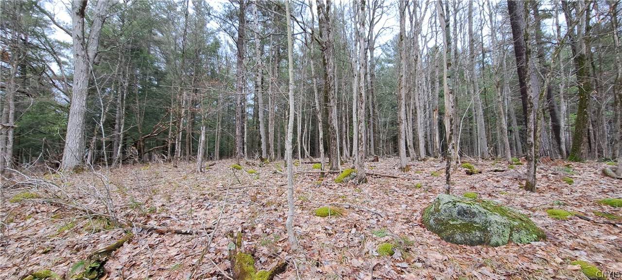  Sweet Point Rd - Photo 1