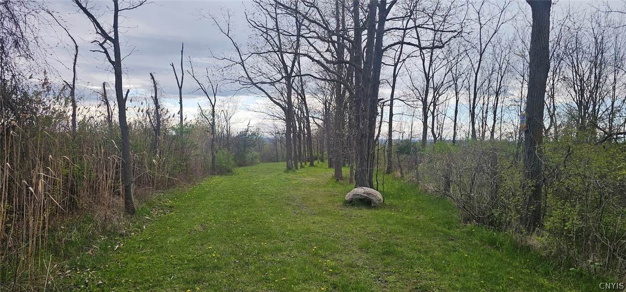 7500 County Road 131 - Photo 1