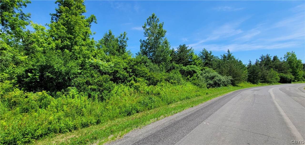Lot 18 Whitney Farm Lane - Photo 1