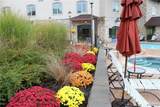 6447 Holiday Valley Road - Photo 13
