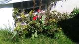 755 17th St / W. Market Street - Photo 33