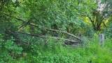 3209 Durham Road - Photo 4