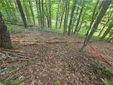 0 Hencoop Hollow Road - Photo 10