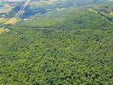 0 Millard Fillmore Road - Photo 4