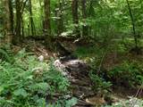 0 Thumb Road - Photo 10
