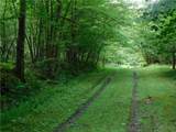 0 Thumb Road - Photo 15