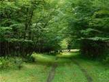 0 Thumb Road - Photo 16