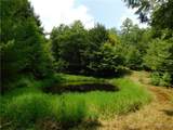 0 Thumb Road - Photo 5