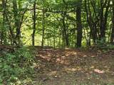 2703 Sandy Creek Lane - Photo 3