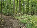 V/L Syler Road - Photo 15
