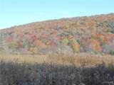4738 Roszyk Hill  Lot #1 Road - Photo 10