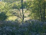 4738 Roszyk Hill  Lot #1 Road - Photo 12