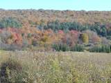 4738 Roszyk Hill  Lot #1 Road - Photo 14