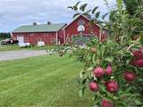 8503 Lower Lake Road - Photo 15