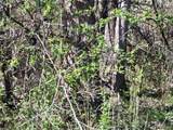  Peach Street - Photo 1