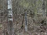  Porter Hollow Road - Photo 16