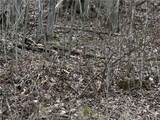  Porter Hollow Road - Photo 17