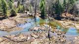  Bolivar Road - Photo 18