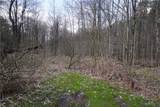 0 VL Blooming Hill Drive Lot 7/31 - Photo 2