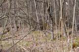 0 VL Blooming Hill Drive Lot 7/31 - Photo 3