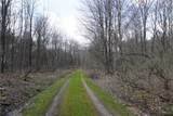 0 VL Blooming Hill Drive Lot 7/31 - Photo 4