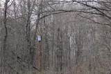 0 VL Blooming Hill Drive Lot 7/31 - Photo 5