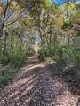 Lot 45 Mcdonald Road - Photo 5