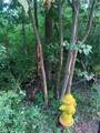 389 Eisenhower Avenue - Photo 4