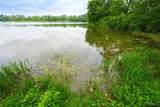  Genesee Road - Photo 13