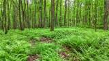8560 Old State Road - Photo 23