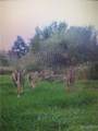 V/L Coleman Road - Photo 16
