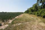  Wilson Cambria Road - Photo 14